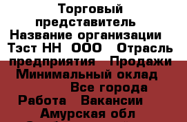 Торговый представитель › Название организации ­ Тэст-НН, ООО › Отрасль предприятия ­ Продажи › Минимальный оклад ­ 40 000 - Все города Работа » Вакансии   . Амурская обл.,Свободненский р-н